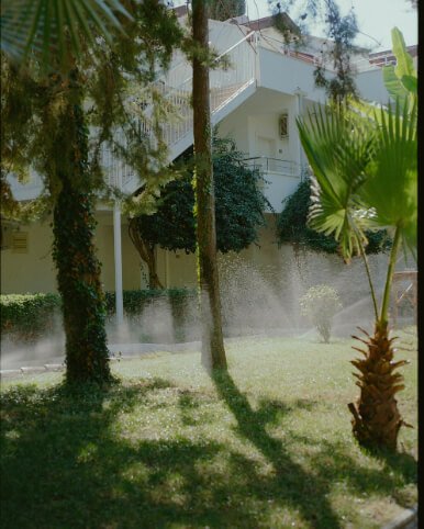 Sprinkler in a sunny garden