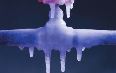 Emergency Plumbing Preparedness: What Every  Delmarva Homeowner Should Know